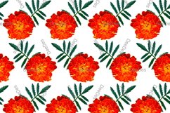 12 Seamless colorful FLOWER patterns bundle. Digital Paper Product Image 11