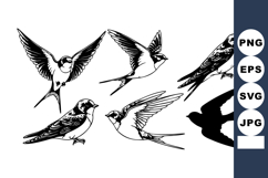 Swallow Birds Flying and Perching Silhouettes Vector Illustr Product Image 1