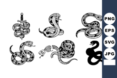 Set of detailed black and white snake illustrations with var Product Image 1