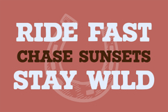 BARN HORSE Bold Western Rodeo Font Product Image 3