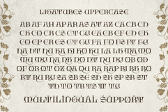 Bherios Grape Typeface Product Image 16