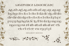Bherios Grape Typeface Product Image 17