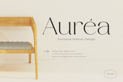 BHYORA | Modern Serif Font Product Image 2