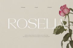 BHYORA | Modern Serif Font Product Image 4