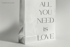 BHYORA | Modern Serif Font Product Image 7