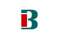 BI Logo Design Product Image 1
