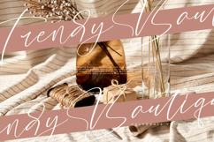 Biastak Daydome - Calligraphy Script Font Product Image 2