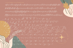 Biastak Daydome - Calligraphy Script Font Product Image 19