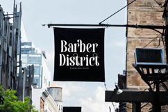 Biblonk Matter - Modern Alternate Serif Font Product Image 2