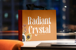 Biblonk Matter - Modern Alternate Serif Font Product Image 14