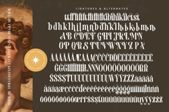 Biblonk Matter - Modern Alternate Serif Font Product Image 18