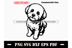 Bichon Frise Dog Begging Design SVG PNG DXF EPS PDF Product Image 1