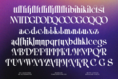 Mosbic - Modern Serif Font Product Image 18