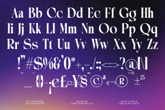 Mosbic - Modern Serif Font Product Image 19