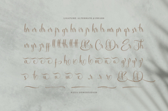 Biframes | Beauty Calligraphy Script Product Image 12