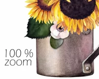 Watercolor sunflower clipart. Sublimation PNG Product Image 3