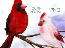 Watercolor Christmas clipart with cardinal birds Product Image 2
