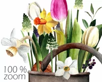 Watercolor spring flowers clipart in watering can.Floral PNG Product Image 4