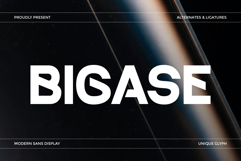Bigase Product Image 1