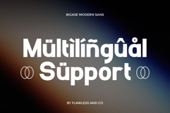 Bigase Product Image 10