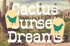 Bigboi Stomse - Western Vintage Font Product Image 2