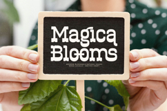 Bigboi Stomse - Western Vintage Font Product Image 5