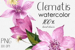 Watercolor Clematis Floral Clipart PNG Sublimation design Product Image 4