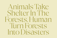 Bigest Karath - Thin Serif Display Product Image 5