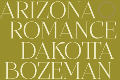 Bigest Karath - Thin Serif Display Product Image 10