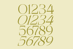 Bigest Karath - Thin Serif Display Product Image 13