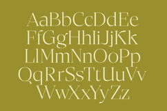 Bigest Karath - Thin Serif Display Product Image 14