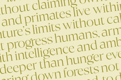 Bigest Karath - Thin Serif Display Product Image 15