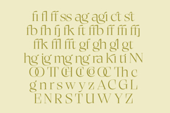 Bigest Karath - Thin Serif Display Product Image 17