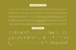 Bigest Karath - Thin Serif Display Product Image 18