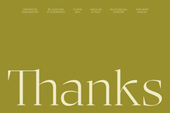 Bigest Karath - Thin Serif Display Product Image 20