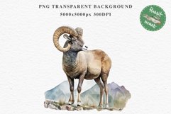 Bighorn Sheep Farm Animals Clipart PNG Scrapbooking Nursery Art Image Watercolor  Transparent Print invitation shirt designs sublimation kids printable digital watercolor Bighorn Sheep floral, flowers clipart, sublimation nursery drawing, farm animals