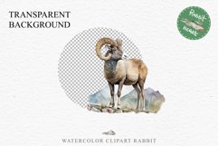 Bighorn Sheep Farm Animals Clipart PNG Scrapbooking Nursery Art Image Watercolor  Transparent Print invitation shirt designs sublimation kids printable digital watercolor Bighorn Sheep floral, flowers clipart, sublimation nursery drawing, farm animals