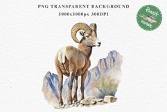 Bighorn Sheep Farm Animals Clipart PNG Scrapbooking Nursery Art Image Watercolor  Transparent Print invitation shirt designs sublimation kids printable digital watercolor Bighorn Sheep floral, flowers clipart, sublimation nursery drawing, farm animals