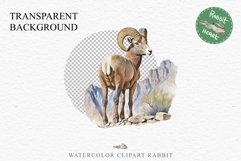 Bighorn Sheep Farm Animals Clipart PNG Scrapbooking Nursery Art Image Watercolor  Transparent Print invitation shirt designs sublimation kids printable digital watercolor Bighorn Sheep floral, flowers clipart, sublimation nursery drawing, farm animals