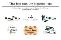 Bigtimun Modern Friendly Serif Font Product Image 2