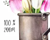 Watercolor tulips clipart.Spring flowers.Sublimation designs Product Image 4
