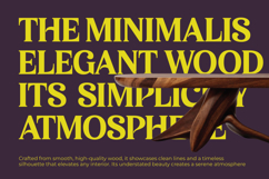 Bikers - Groovy Serif Display Font Product Image 11