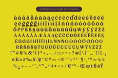 Bikers - Groovy Serif Display Font Product Image 14