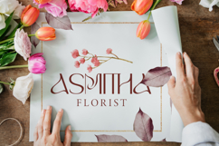 Bilshen Font Product Image 5