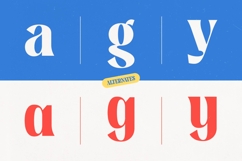 Bingers Bold Serif Display Product Image 4
