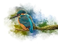 Watercolor Bird Painting Effect Product Image 4