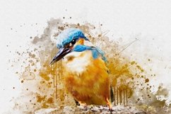 Watercolor Bird Painting Effect Product Image 11