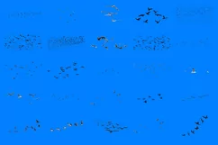 100 BIRD FLOCK TRANSPARENT PNG ANIMAL PHOTOSHOP OVERLAYS Product Image 6