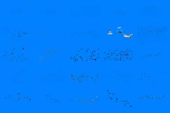 100 BIRD FLOCK TRANSPARENT PNG ANIMAL PHOTOSHOP OVERLAYS Product Image 4