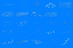 100 BIRD FLOCK TRANSPARENT PNG ANIMAL PHOTOSHOP OVERLAYS Product Image 2